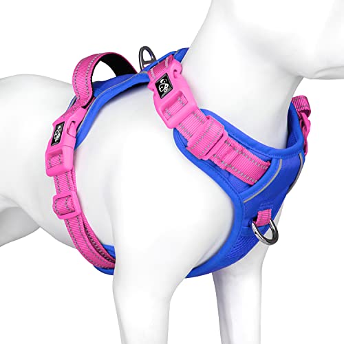 Royal Blue Base & Pink Straps