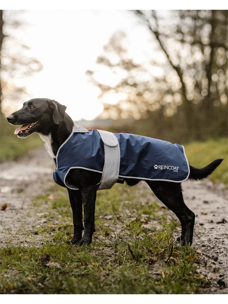 ReinCoat Waterproof Dog Coat for Small Medium Large Dogs - Warm Winter Jacket with Reflective Strips for Outdoor Walking, Hiking & Camping