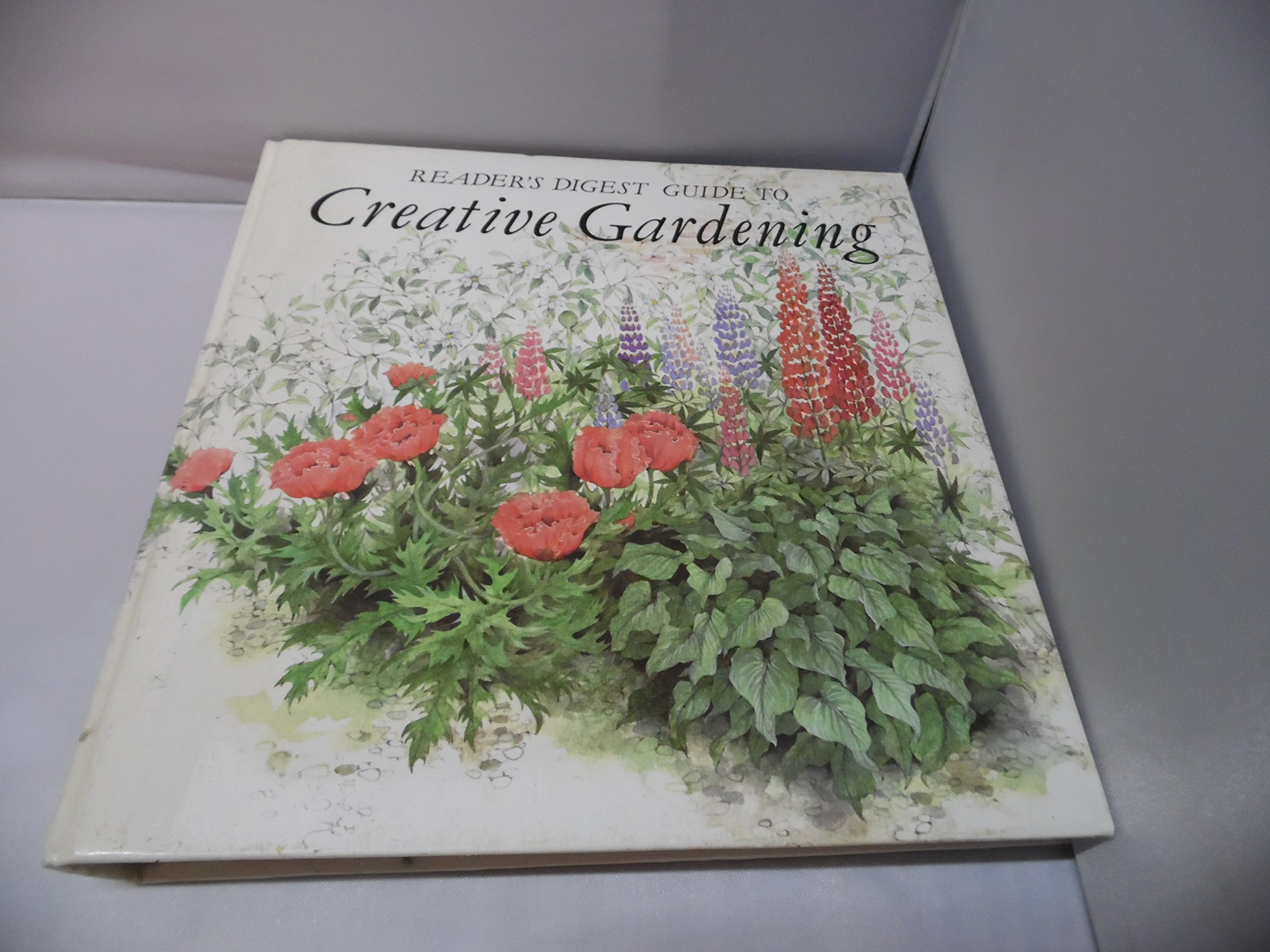 Creative Gardening Guide - Reader's Digest Tips for Beautiful Home Gardens | Indoor & Outdoor Planting Ideas