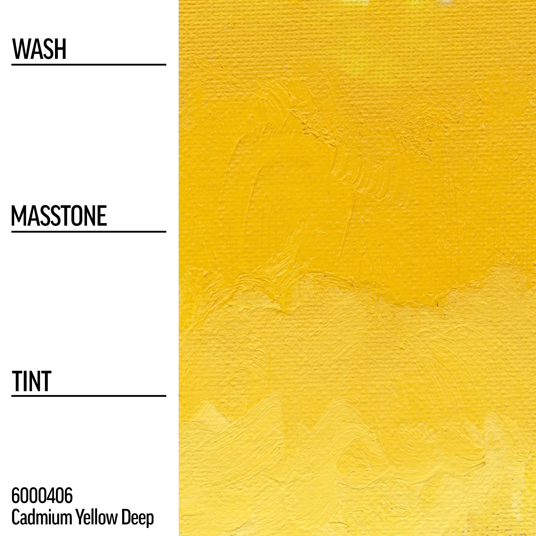 GOLDEN Williamsburg Artist Oil Colors - Cadmium Yellow Deep (150 ml Tube) | Professional Opaque Oil Paint for Canvas Painting & Fine Art