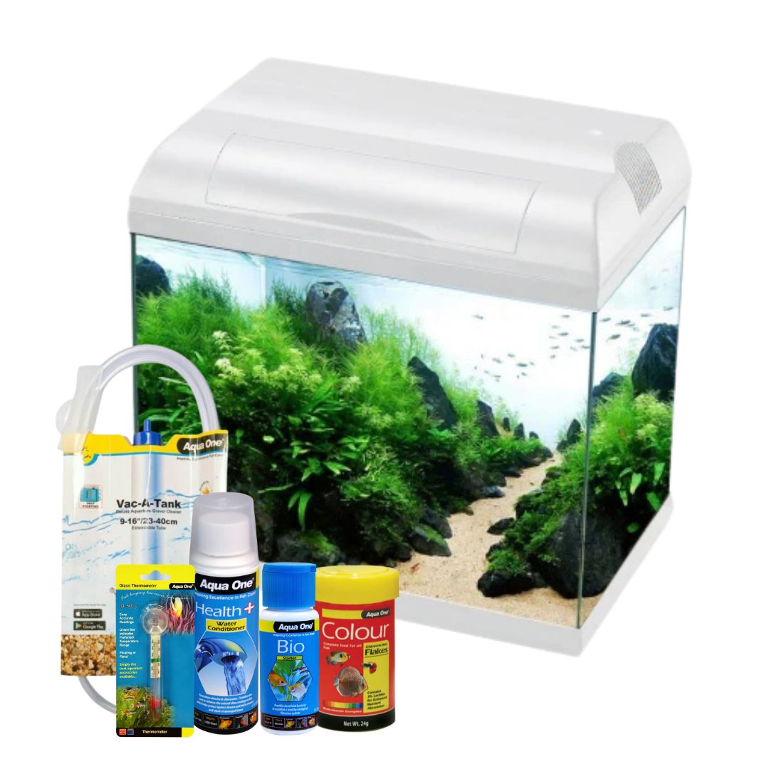 Ecostyle 37 Aquarium Bundle - 21 Litres Fish Tank Kit with LED Light & Filter - Perfect for Home, Office, or Classroom Aquarium Setup