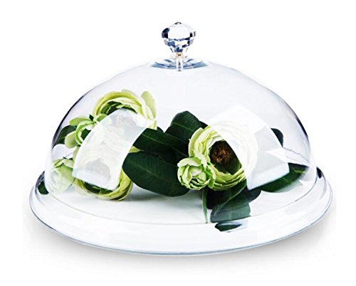 Clear Acrylic Food Cover - 10 Inch Transparent Dome for Fresh Food, Snacks, Cakes & Desserts Display - Perfect for Bakeries, Cafes, Buffets and Home Kitchen Use