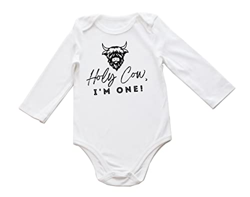 One Birthday-Long Sleeve Bodysuit