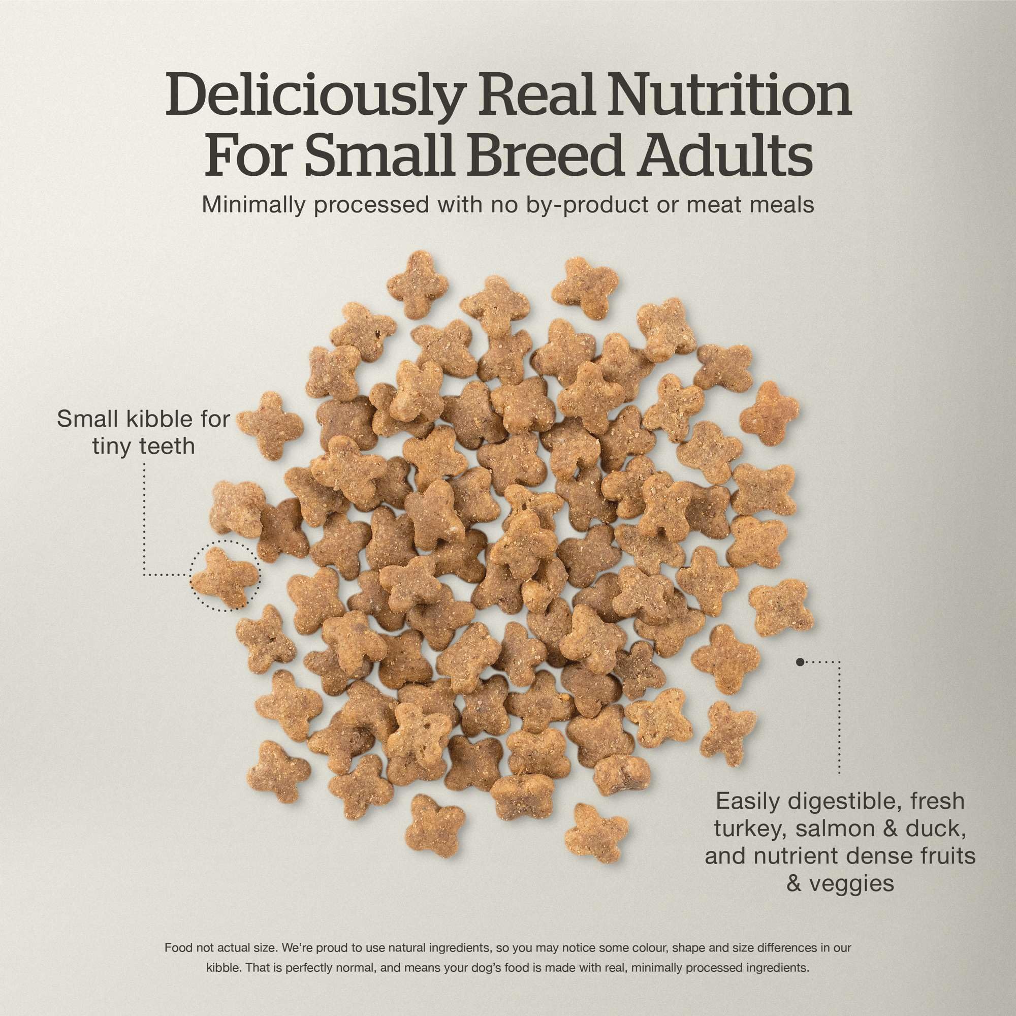 Now Fresh Grain-Free Small Breed Dry Dog Food - Turkey, Salmon & Duck Recipe - 22 lb Bag for Adult Dogs | Perfect for Small Breeds, Sensitive Stomachs & Healthy Skin & Coat