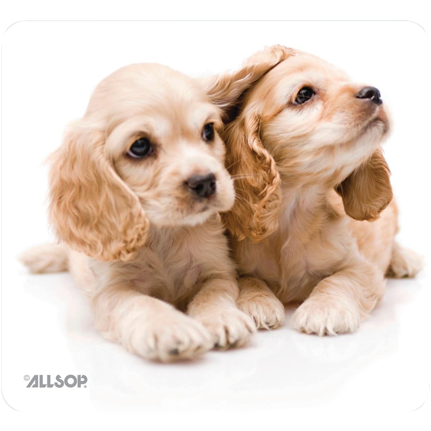 Allsop 30183 NatureSmart Mouse Pad with Puppies Design - Ergonomic Non-Slip Desk Mat for Office, Gaming & Home Computer Use