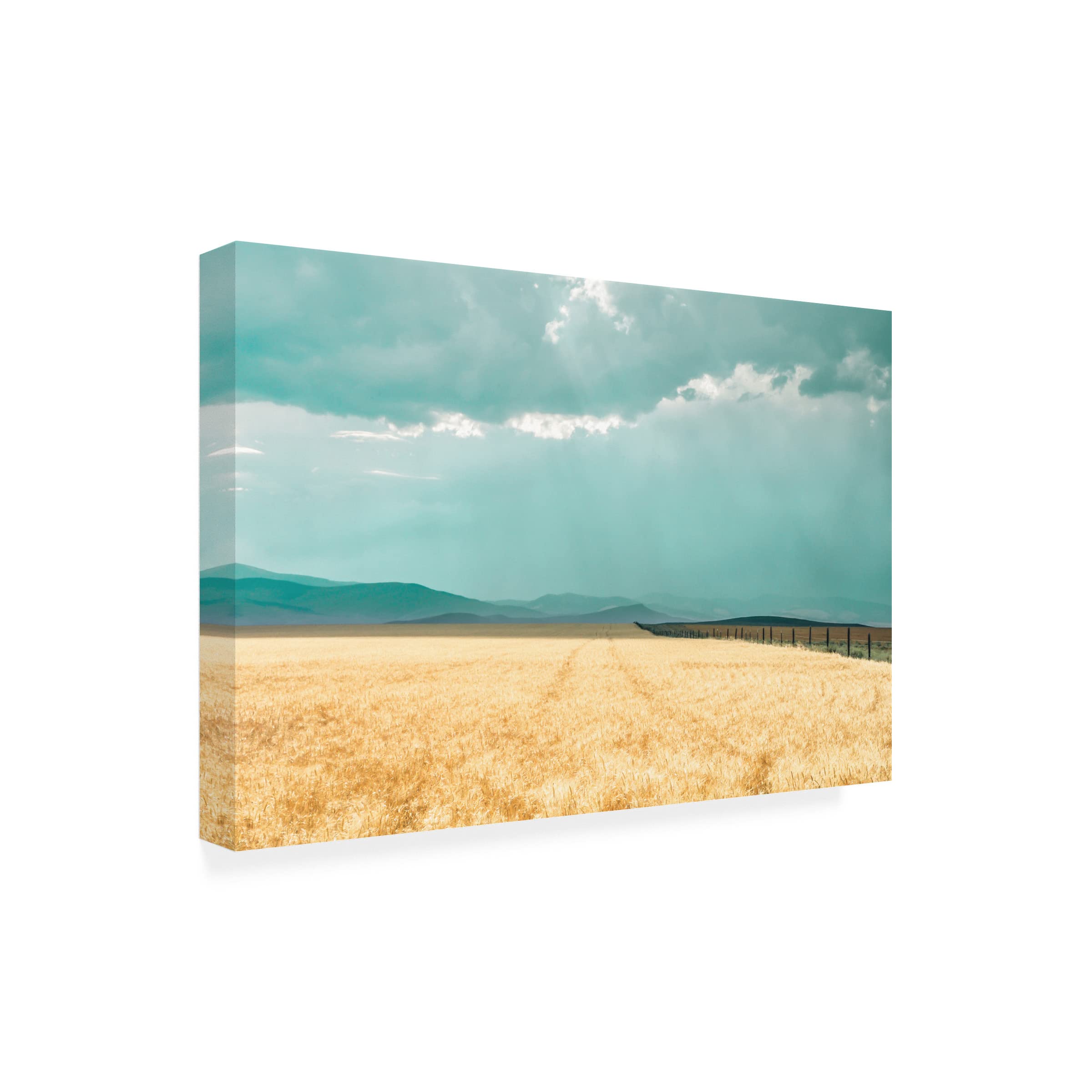 Annie Bailey Art 'Harvest Shadow' Framed Canvas Wall Art - Modern Farmhouse Decor for Living Room, Bedroom & Office