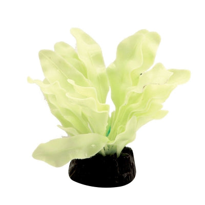 Aqua One Glow In The Dark Sword Plant 5cm - Live Aquarium Plant for Fish Tank Decor, Low Light Aquatic Plants for Beginners, Perfect for Betta Tanks & Aquascaping