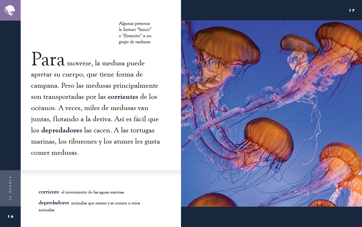 La Medusa Book 9781640266933 - Italian Language Novel for Adults, Perfect for Reading at Home or Travel