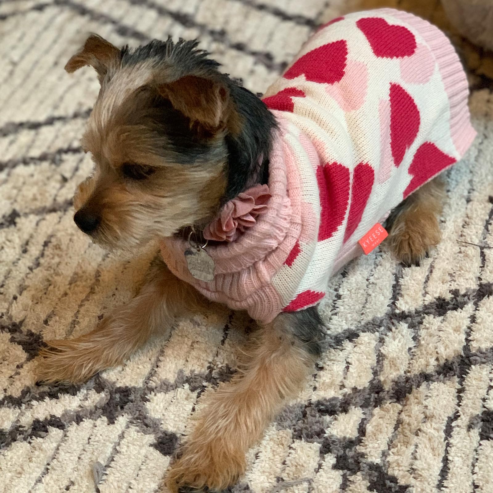 KYEESE Small Dog Sweaters with Leash Hole - Red Heart Pet Sweater for Puppies, Cozy Winter Dog Clothes for Chihuahua, Yorkie, Pug - Perfect for Outdoor Walks & Indoor Comfort