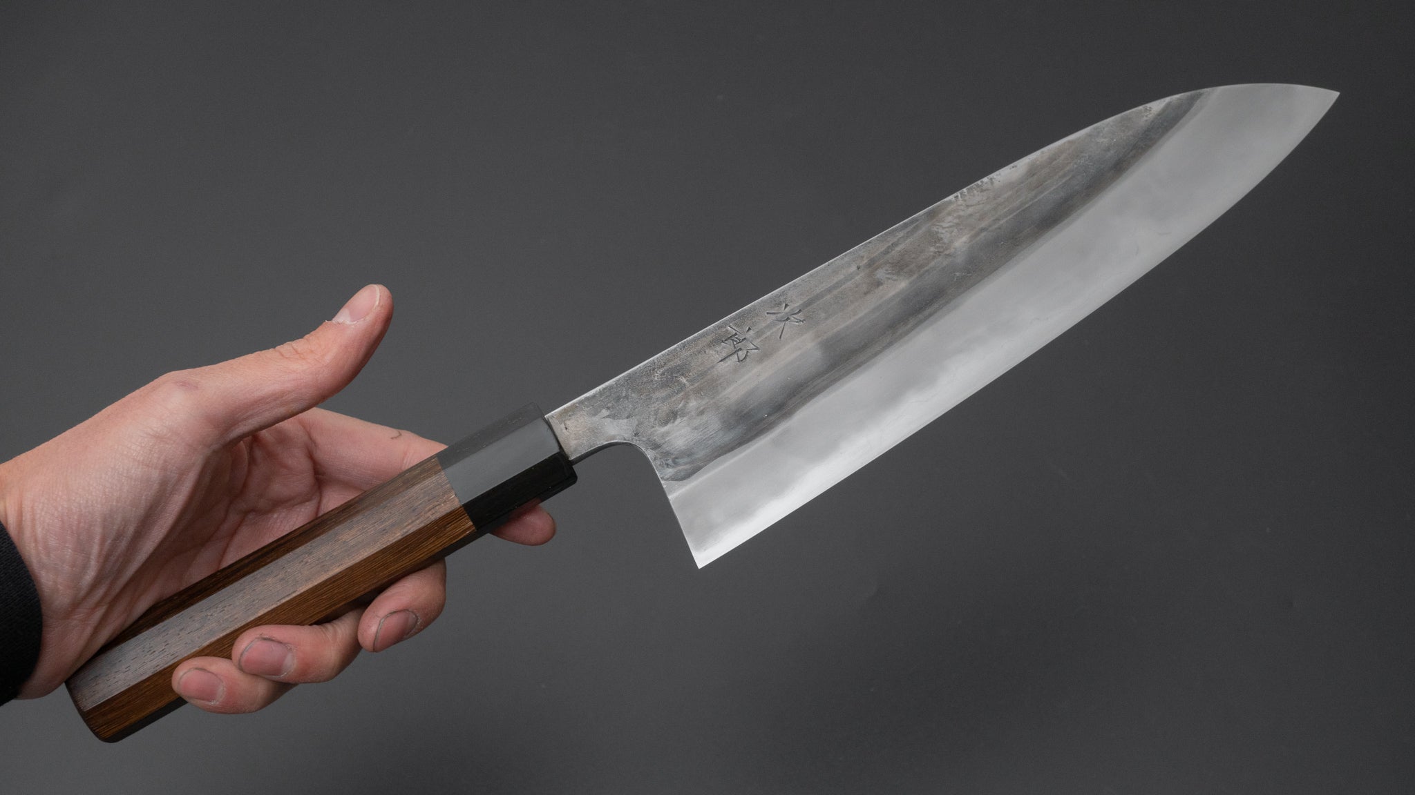 Premium Jiro Tsuchime Wa Gyuto 225mm Japanese Chef Knife with Taihei Tagayasan Handle - Perfect for Sushi, Meat Slicing & Professional Kitchen Use (#542)