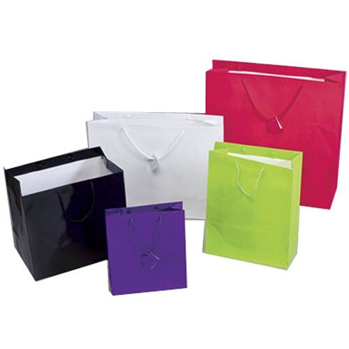 Premium White Matte Gift Bags with Rope Handles - 8