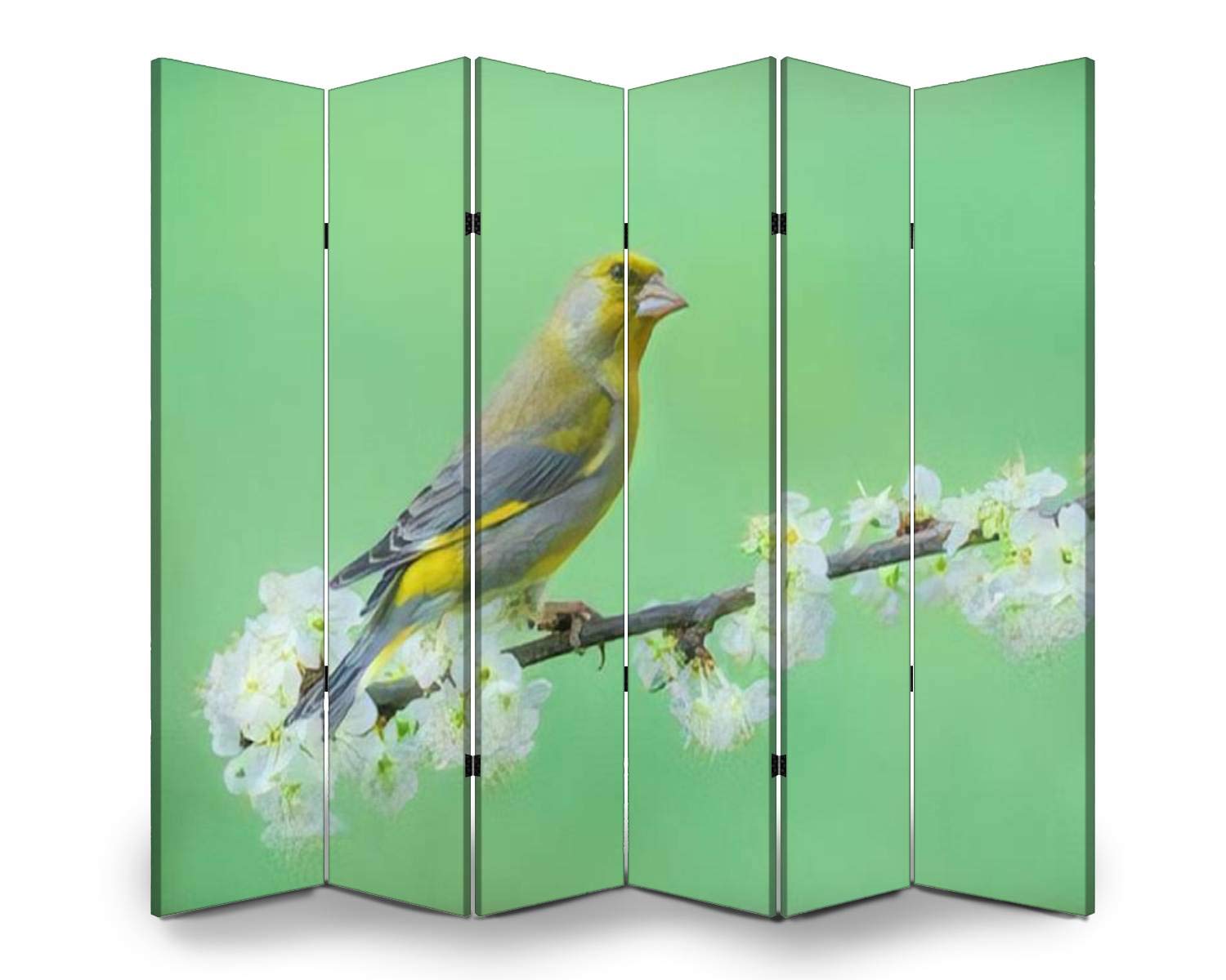 6-Panel Folding Room Divider Screen - Eurasian Greenfinch Bird on Blossoming Branch Design | Freestanding Privacy Partition for Home & Office | Indoor/Outdoor Use for Living Rooms, Bedrooms, Patios & Events