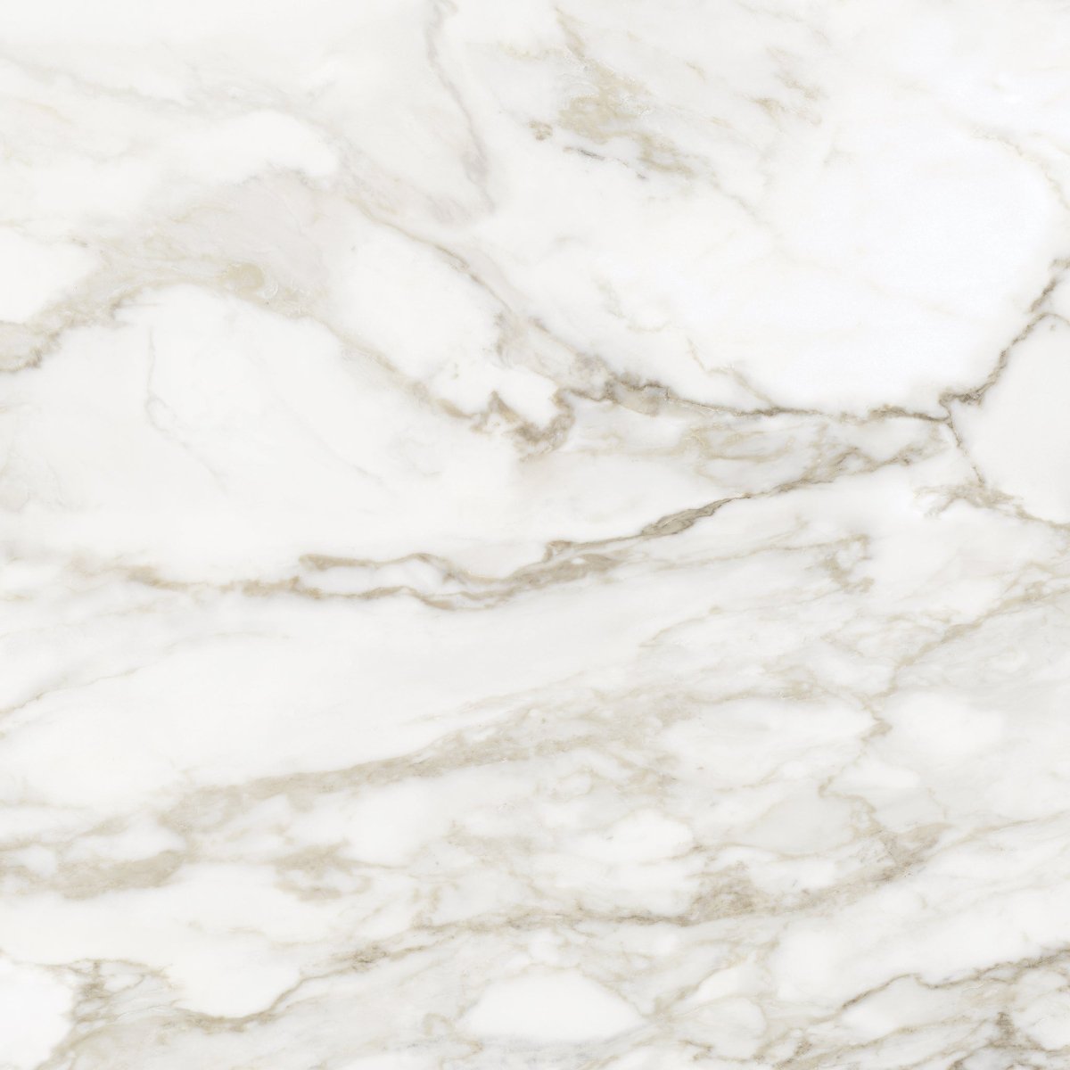 32 x 32 Inch Calacatta Paonazzo Polished Rectified Glazed Porcelain Wall Tile - Premium Kitchen Backsplash & Bathroom Flooring Solution