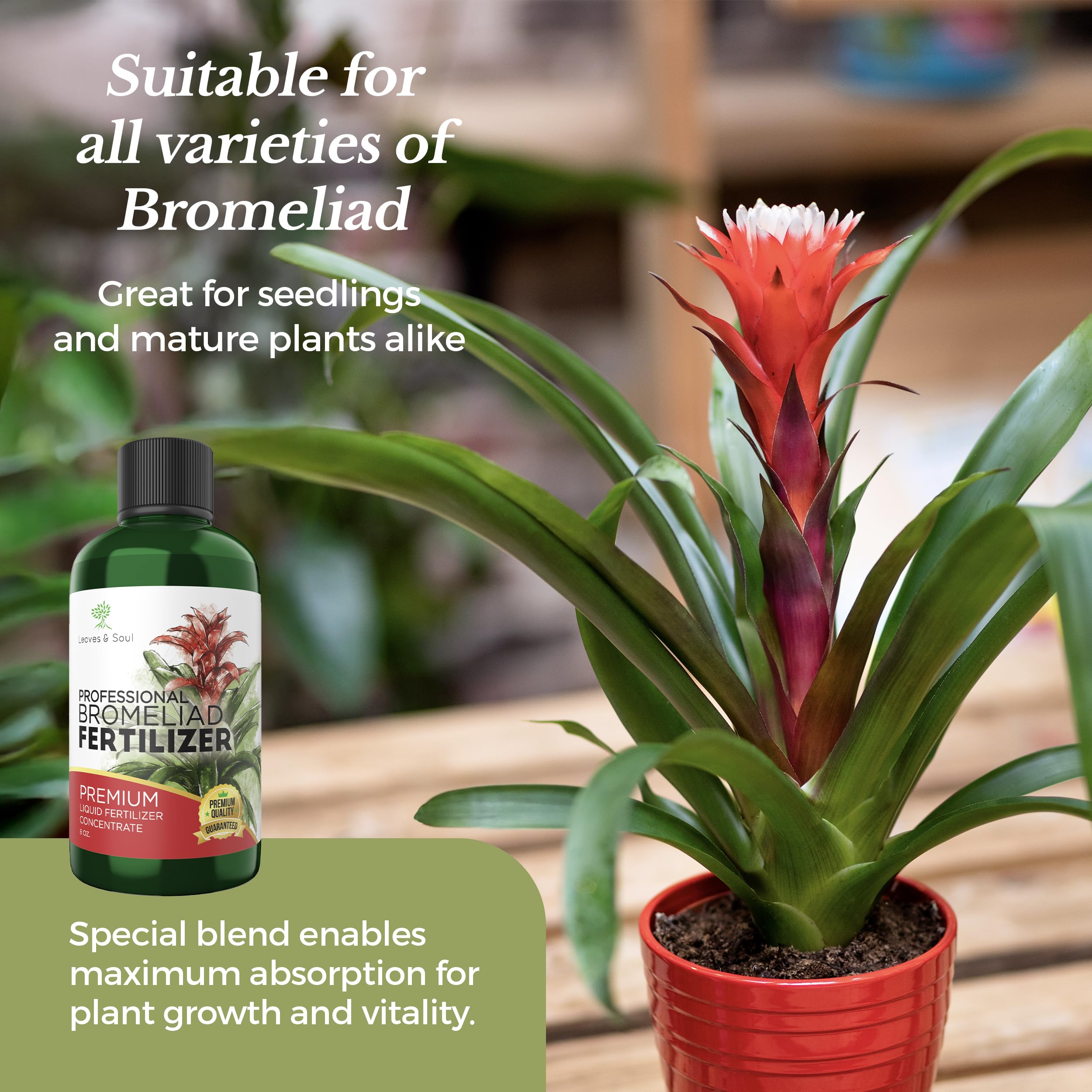 Professional Liquid Bromeliad Plant Fertilizer 3-1-2 Concentrate for Healthy Plants & Flowers | Multi-Purpose Gardening Supplies | 8 oz Bottle | Perfect for Indoor Houseplants, Outdoor Gardens & Tropical Plant Care