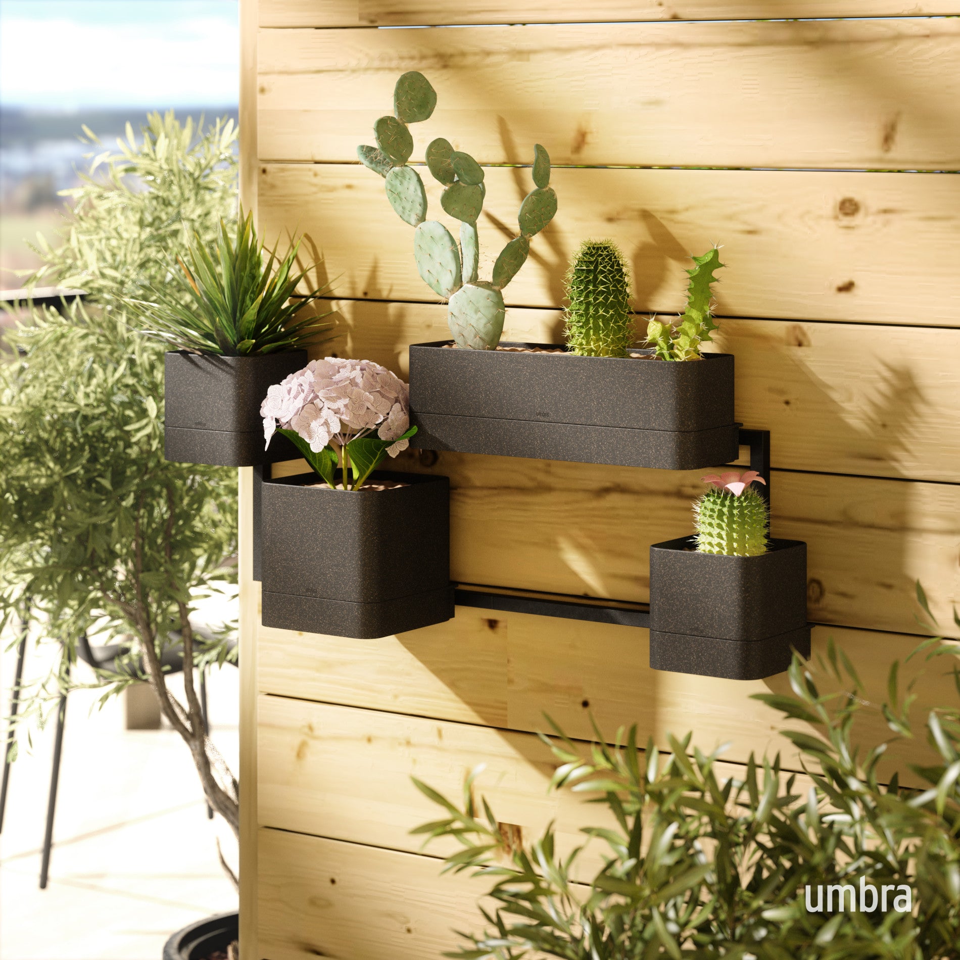 Cubiko Modern Wall Planter - Hanging Plant Holder for Indoor & Outdoor Decor - Perfect for Home, Office, Garden, and Balcony Greenery