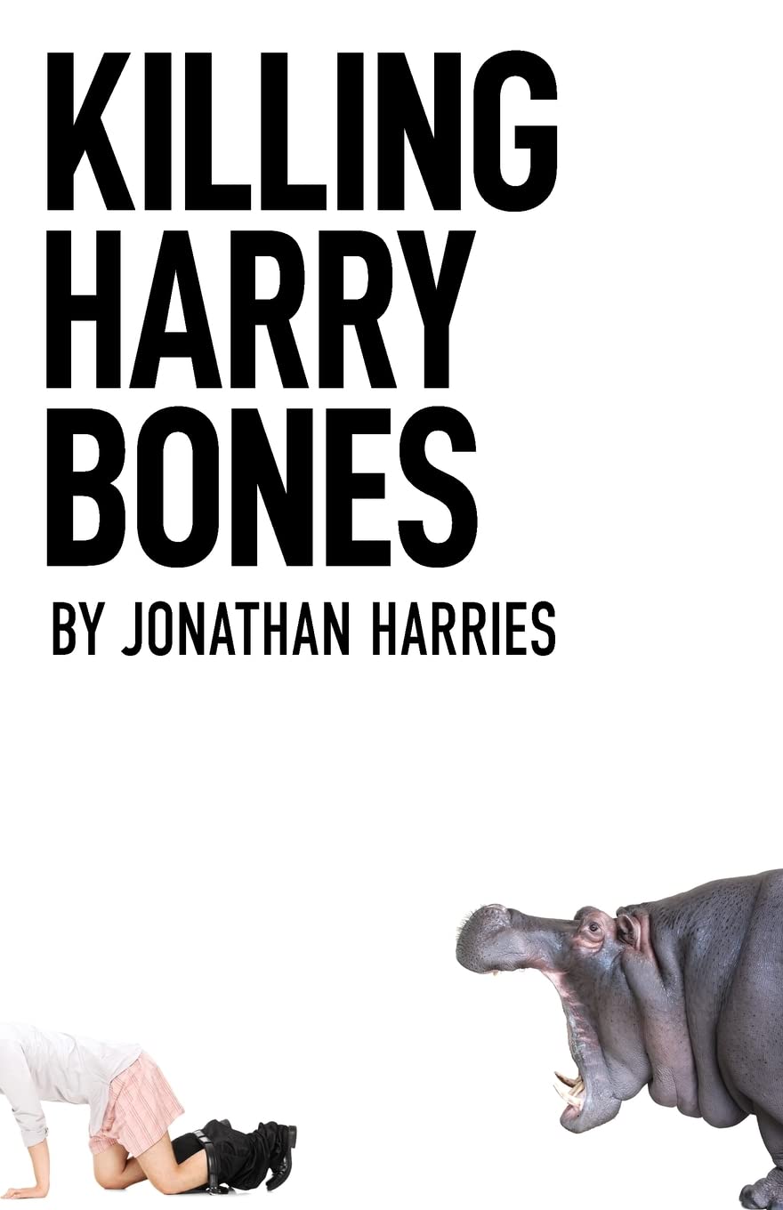 Killing Harry Bones (The Roger Storm Series) - Gripping Mystery Thriller Novel for Crime Fiction Fans | Perfect for Book Clubs & Late-Night Reading