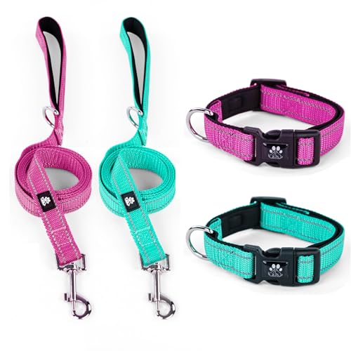 Fuchsia&Teal(Collar+Leash)