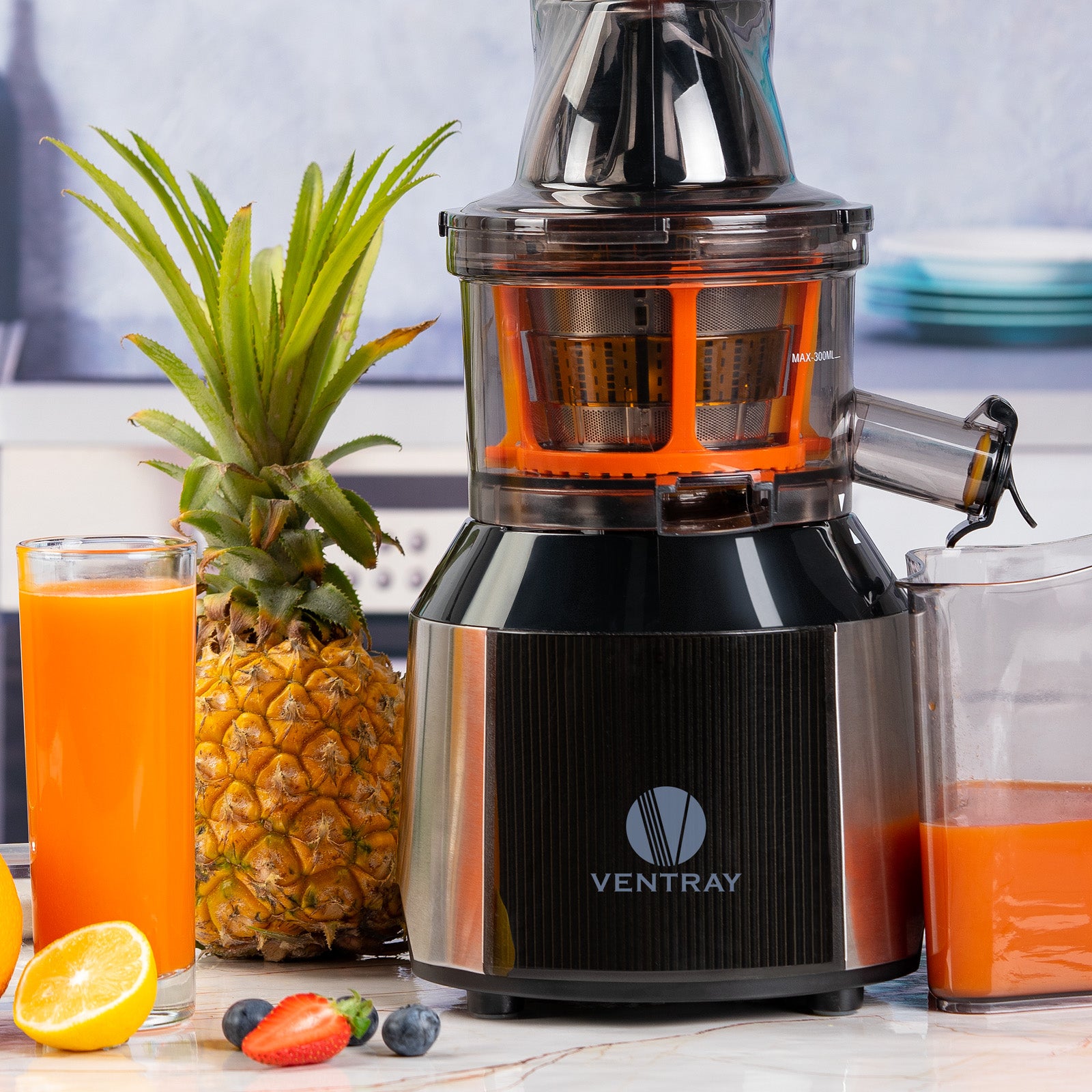 Ventray Juicing Bowl - High-Performance Blender for Fresh Juices, Smoothies & Healthy Drinks - Perfect for Home, Gym & Office Use