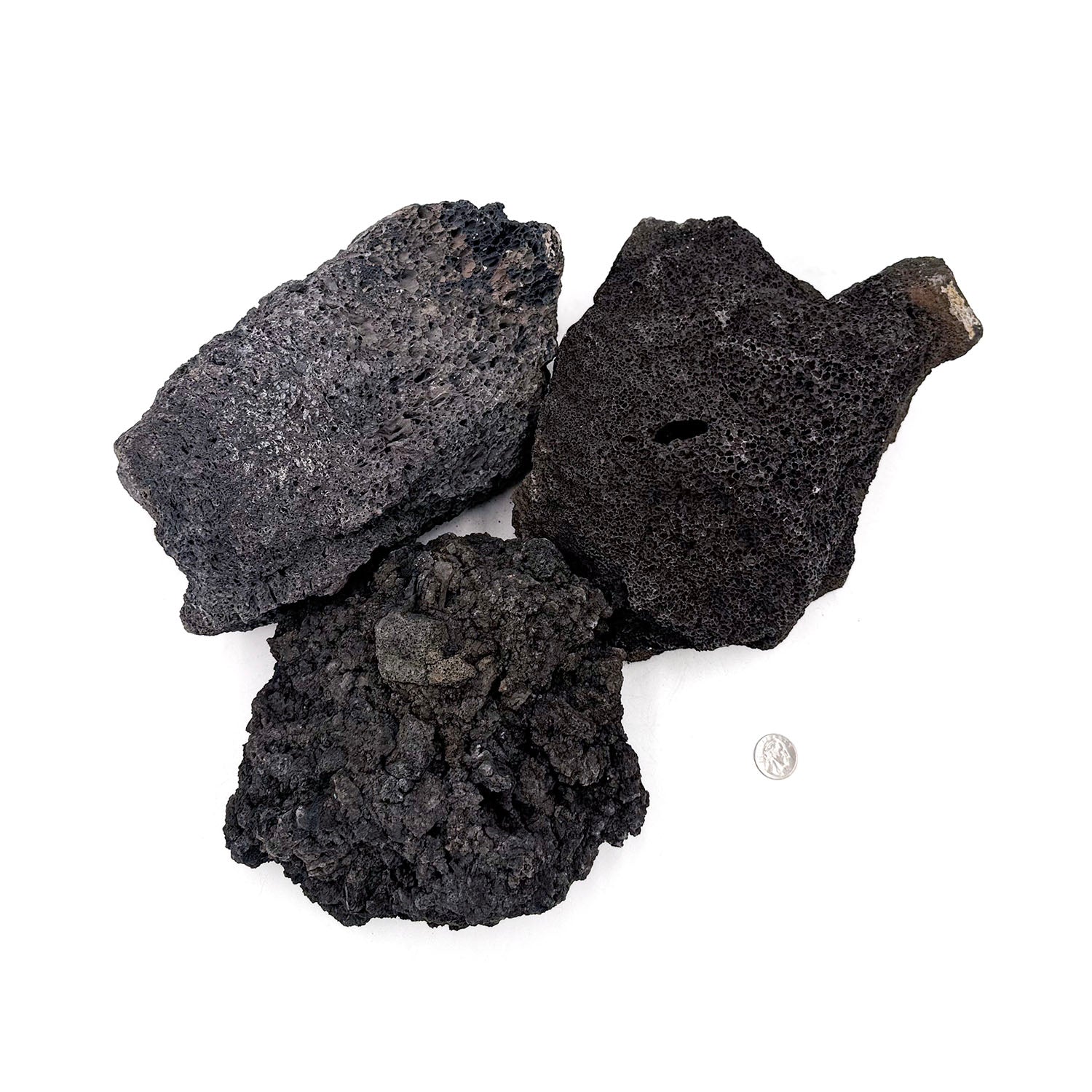 Premium Black Lava Rock for Aquariums - Natural Filtration & Decoration - Ideal for Fish Tanks, Shrimp Habitats & Aquatic Plant Scaping