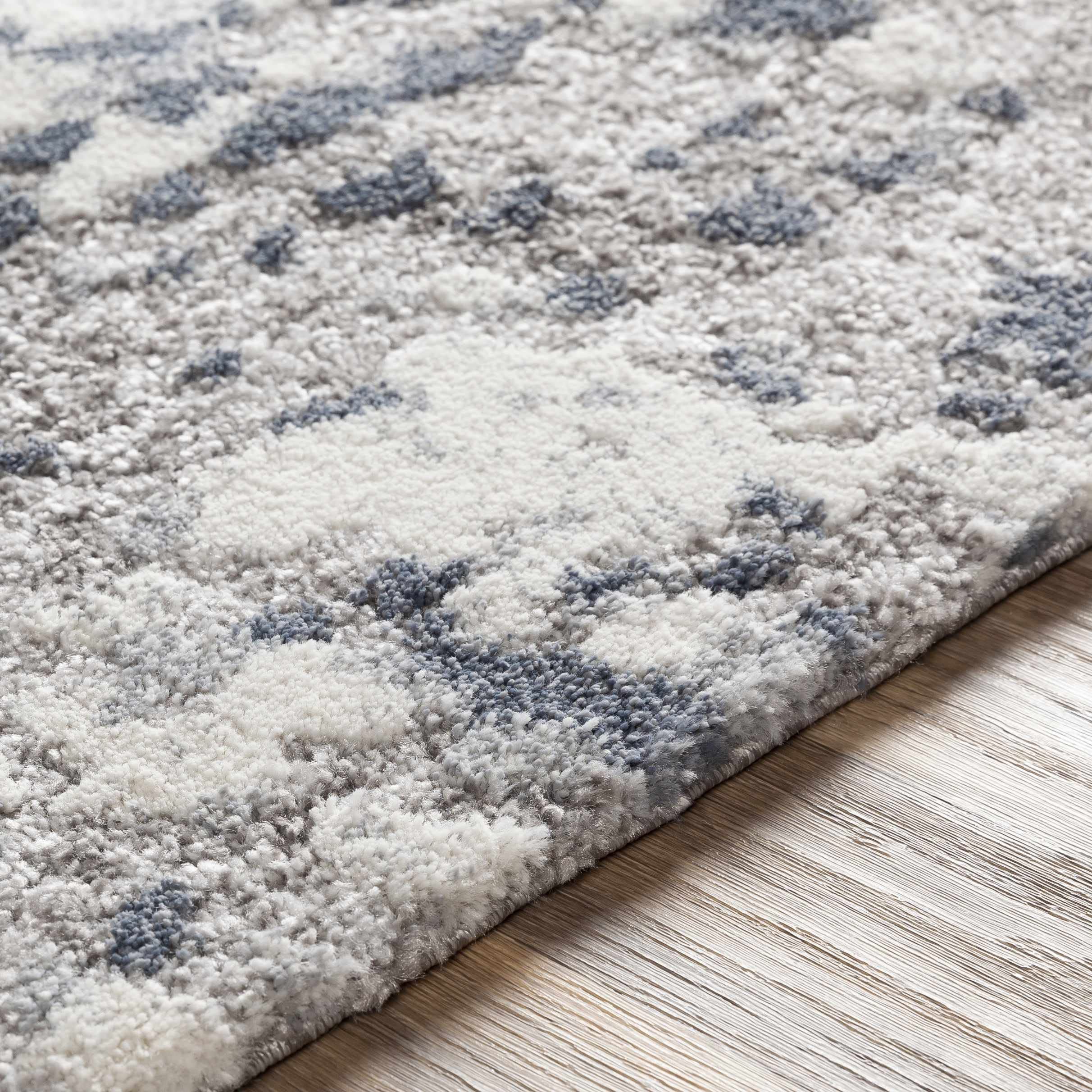 Hauteloom Walhonding Modern High Pile Area Rug - 5'3