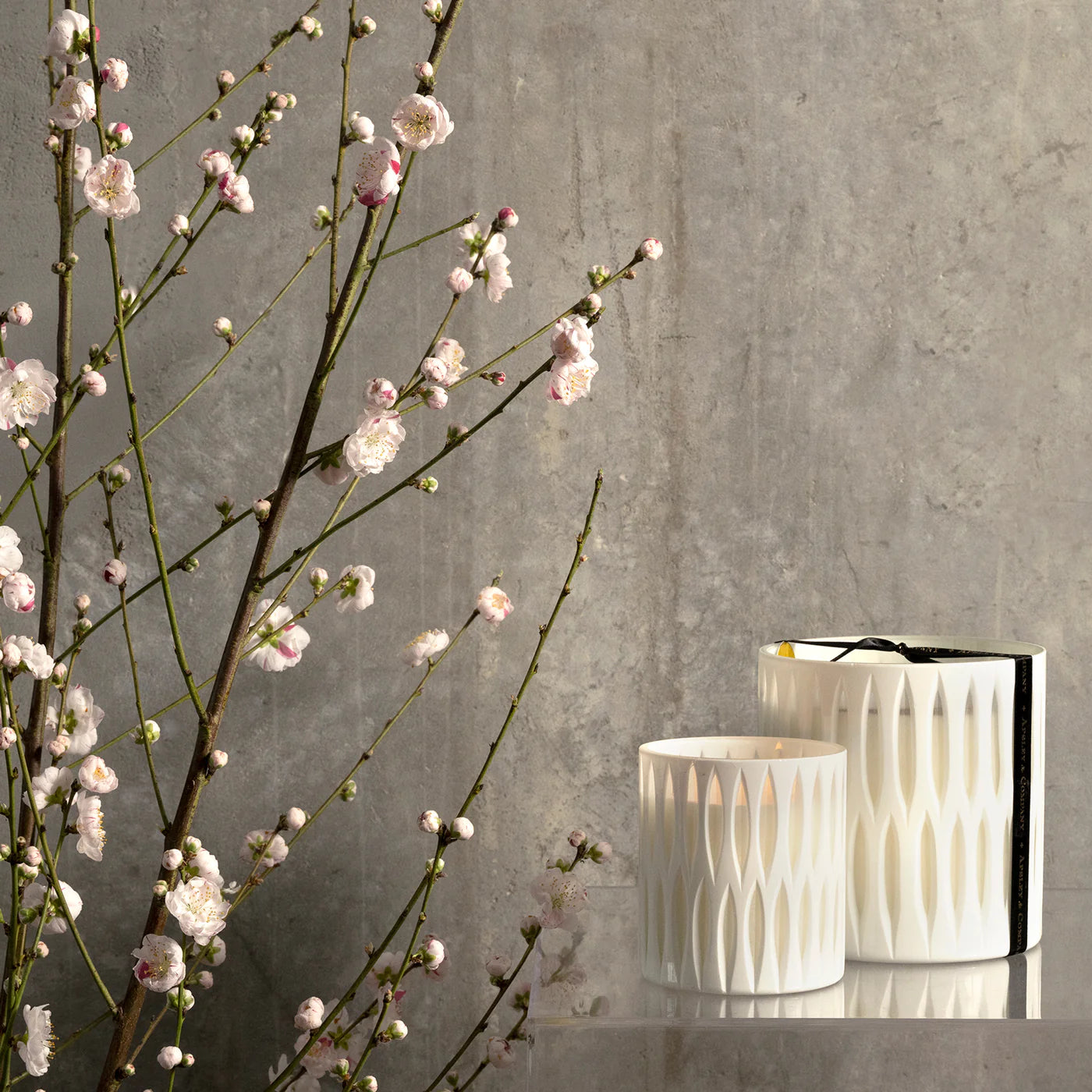 Luxury Scented Candle 440g - Glimpse Blanc by Apsley & Co | Premium Home Decor for Relaxation & Aromatherapy