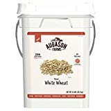 Augason Farms Hard White Wheat Emergency Food Storage 24 Pound Pail - Pack of 2 | Long-Term Survival Food, Emergency Preparedness & Baking Supplies for Homemade Bread