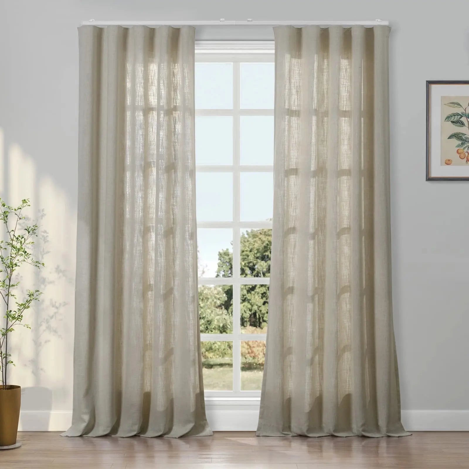 Burlywood Birch 1908-5