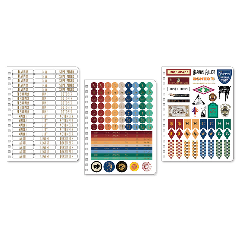 Harry Potter: Magical Places 12-Month Undated Planner - Perfect for School, Work & Gift Giving | Wizarding World Calendar for Planning & Organization