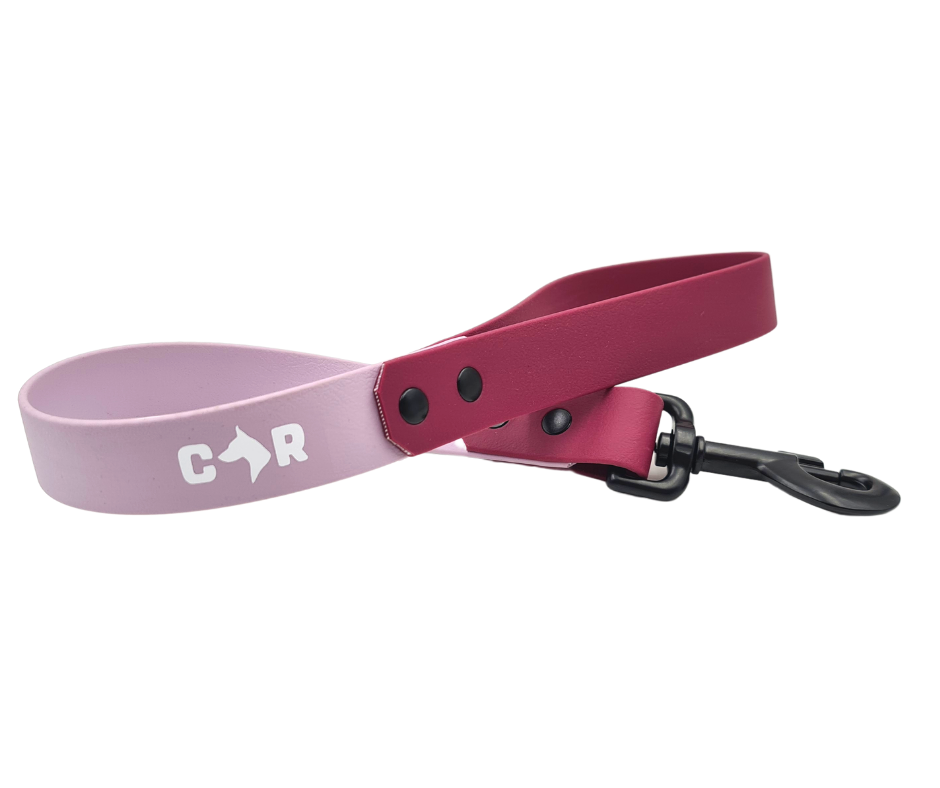 Premium Biothane Dog Leash - 60cm Traffic Lead with Collar & Ruff in Lavender/Wine (Pre-Made) | Durable & Reflective for Safe Night Walks, Training & Outdoor Adventures