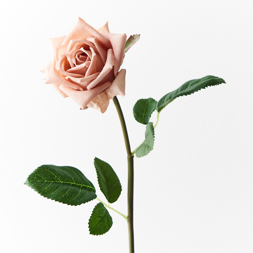 Lola Rose Blush - Natural Pink Blush Makeup for a Flawless Glow | Perfect for Everyday Wear & Special Occasions
