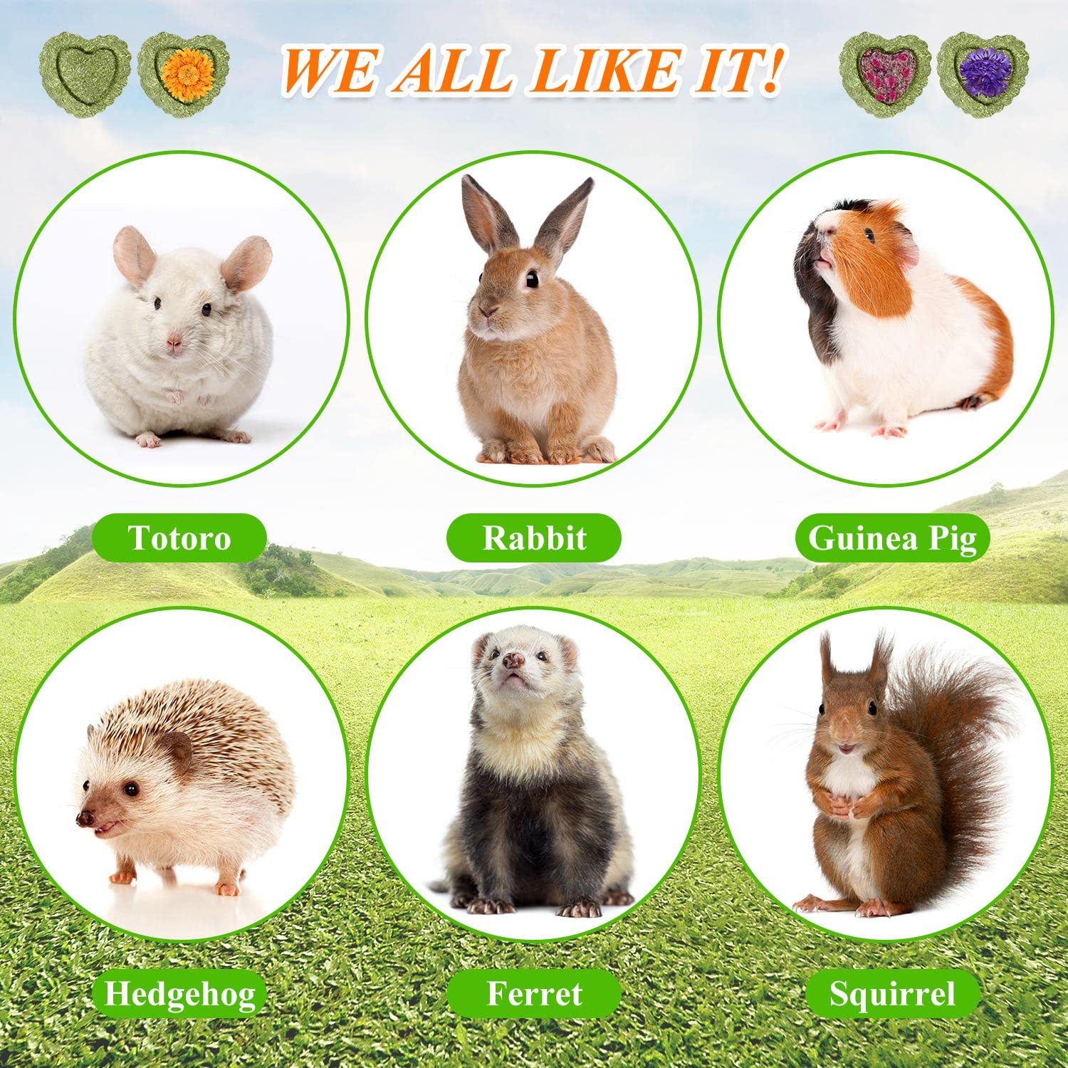 20PCS Bunny Chew Toys for Rabbits - Organic Timothy Hay Cakes for Small Pets Like Chinchillas, Hamsters & Guinea Pigs - Natural Teeth Care Chew Toys for Dental Health - Perfect for Cage Enrichment and Playtime