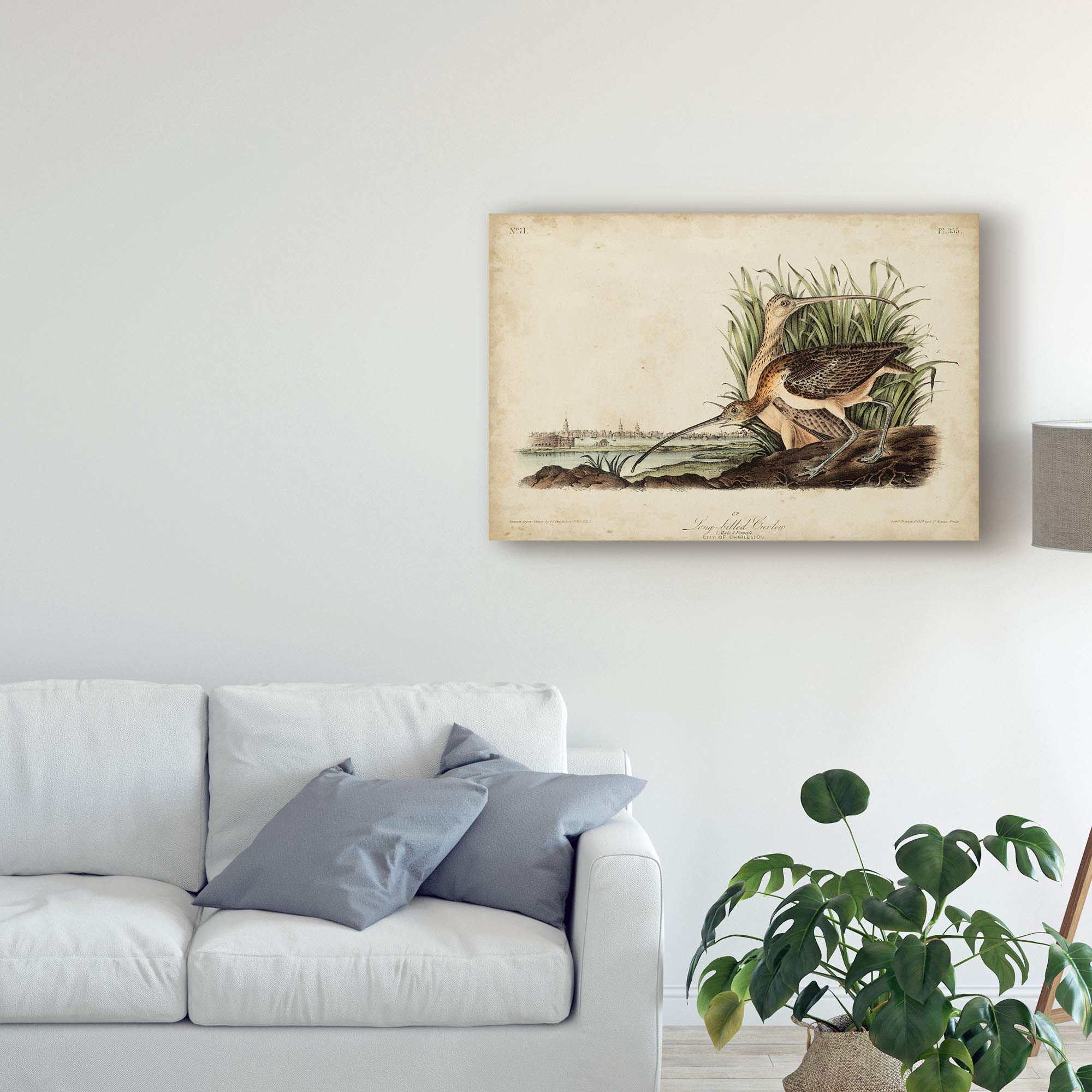 John James Audubon Long Billed Curlew Bird Fine Art Print - 30x47 Inch Wall Decor for Living Room, Office & Gallery | Premium Quality Wildlife Painting Reproduction