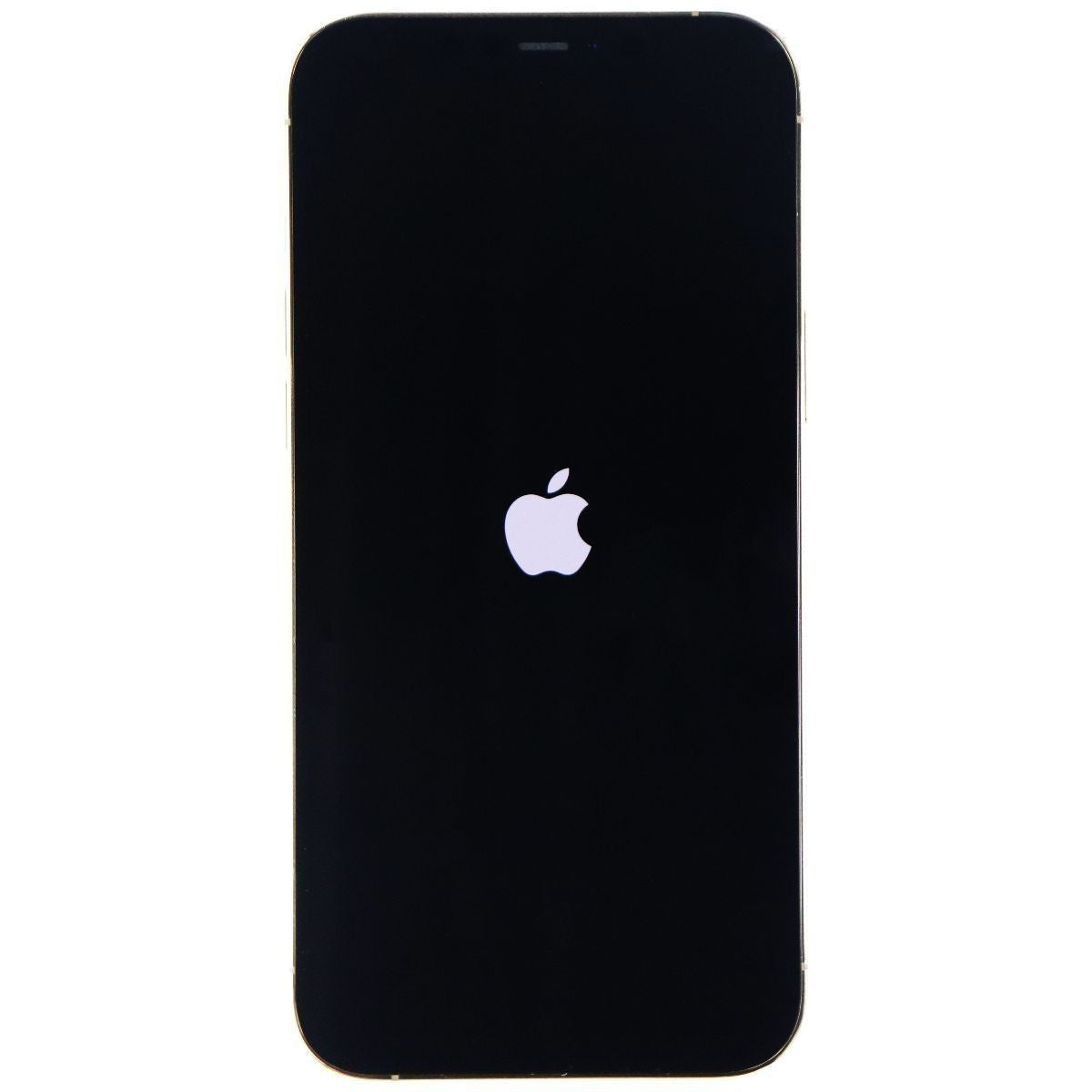 Apple iPhone 12 Pro Max 6.7