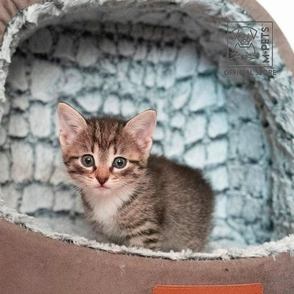 Premium Snake Suede Pet Bed for Dogs & Cats - Soft Washable Orthopedic Support - Cozy Sleeping Mat for Small Medium Large Pets - Perfect for Home, Crate & Travel Use