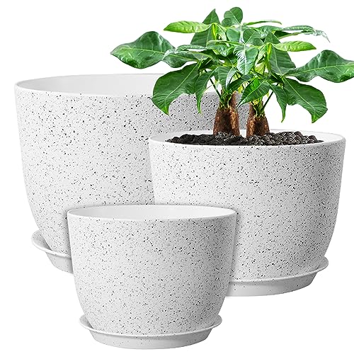 White Speckles