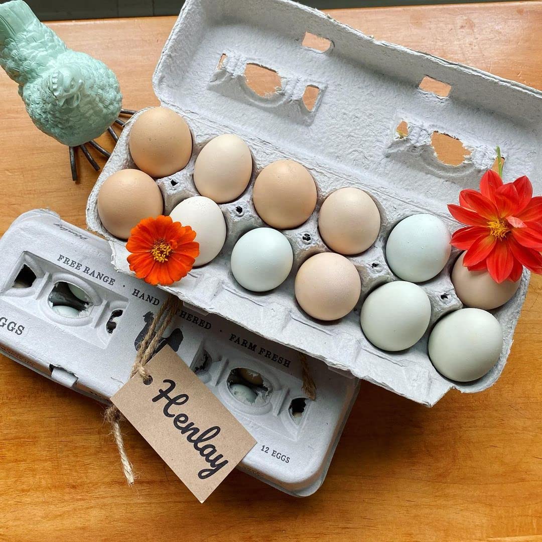 250 Egg Cartons Bulk Pack - Eco-Friendly Recycled Paper Egg Trays for Farm Fresh Eggs, Durable & Reusable XL Chicken Egg Holders with Cute Printed Designs - Perfect for Farmers Markets, Home Poultry & Egg Storage