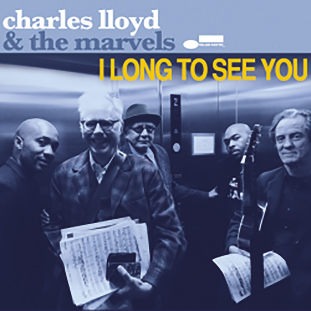 I Long To See You 2LP Vinyl Record - Limited Edition Double LP for Music Collectors & Audiophiles | Perfect for Home Listening, Gifts & Vinyl Enthusiasts