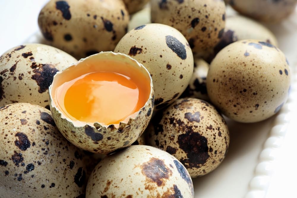 Fresh CZ Grain Quail Eggs - 96 Count | High-Protein, Nutrient-Rich | Perfect for Baking, Cooking & Healthy Snacks