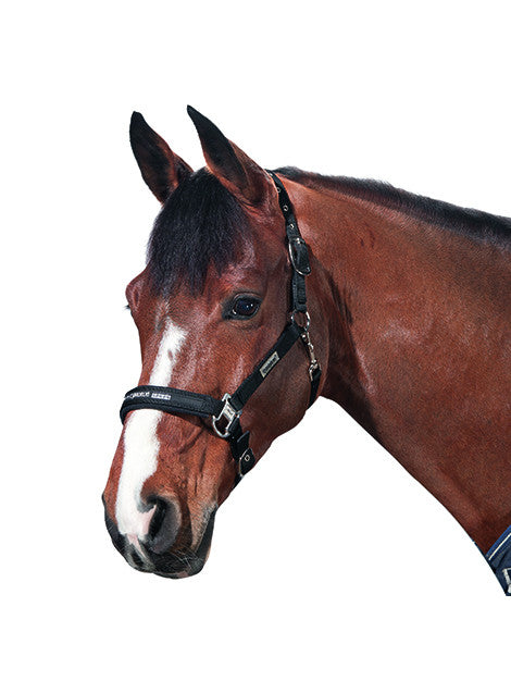 Eskadron Classic Sports Pin Buckle Adjustable Horse Headcollar for Training & Riding - Durable Nylon Halter for Equestrian Use