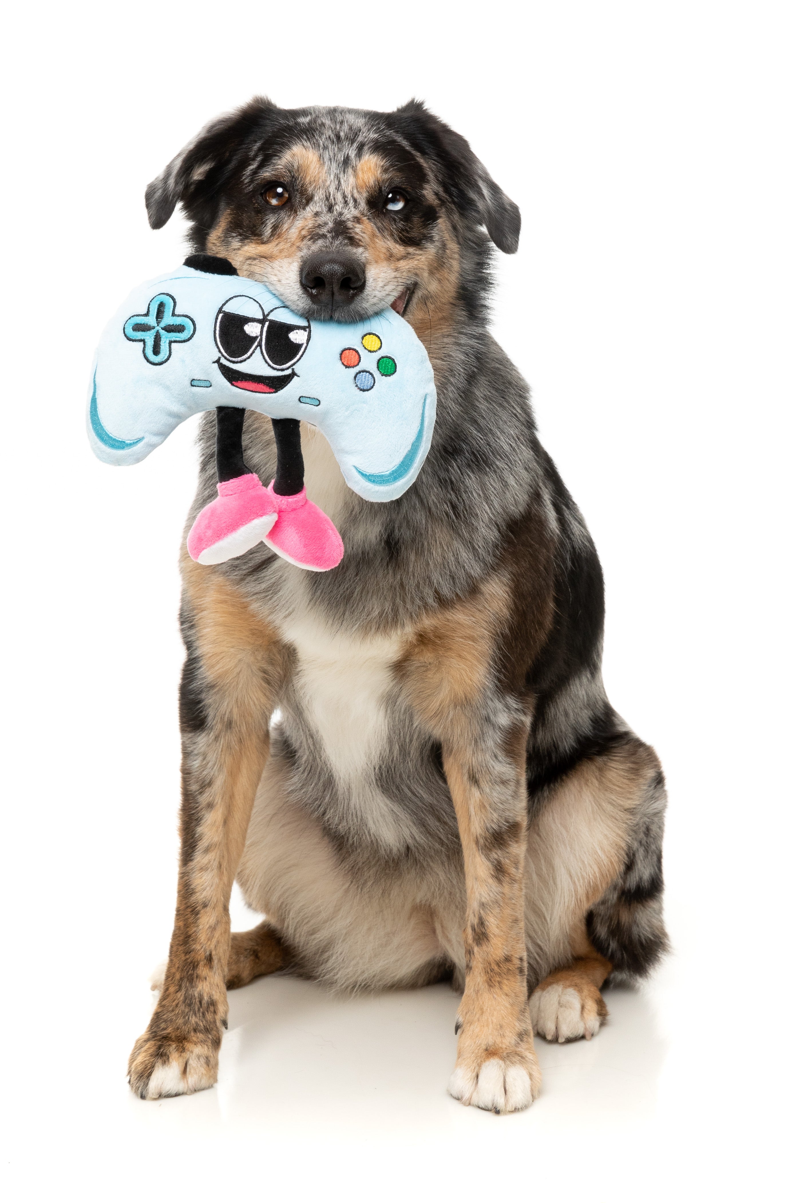 FuzzYard The Homies Squeaky Plush Dog Toy for Small & Medium Dogs - Soft & Durable Chew Toy for Puppies - Perfect for Indoor Play, Training & Cuddling