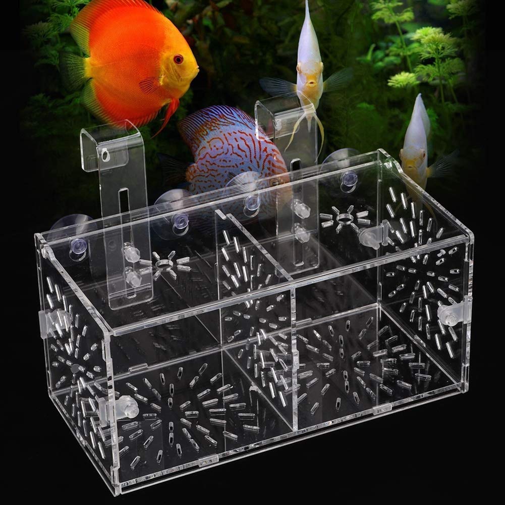 Rosvola Transparent Fish Isolation Box - 20cm x 10cm x 10cm Aquarium Hatchery for Fish Breeding, Egg Incubation & Fry Protection | Perfect for Freshwater & Saltwater Tanks, Hospital Tanks, and Breeding Tanks