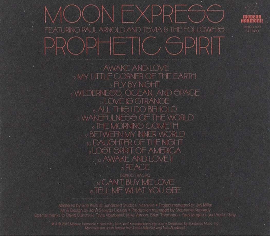 Prophetic Spirit 高品质香薰蜡烛 - 提升家居氛围，放松身心，适合冥想、瑜伽、卧室放松使用