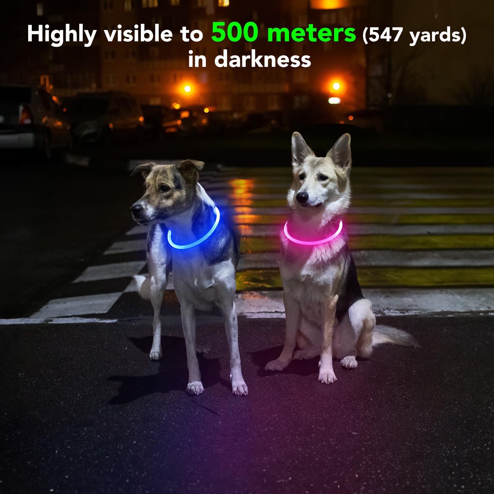 Waterproof Rechargeable LED Dog Collar - Glow in The Dark Adjustable TPU Pet Collar for Night Walking, Jogging & Safety | Light Up Dog Leash for Small Medium Large Dogs (Pink) - Perfect for Evening Walks, Camping & Outdoor Adventures