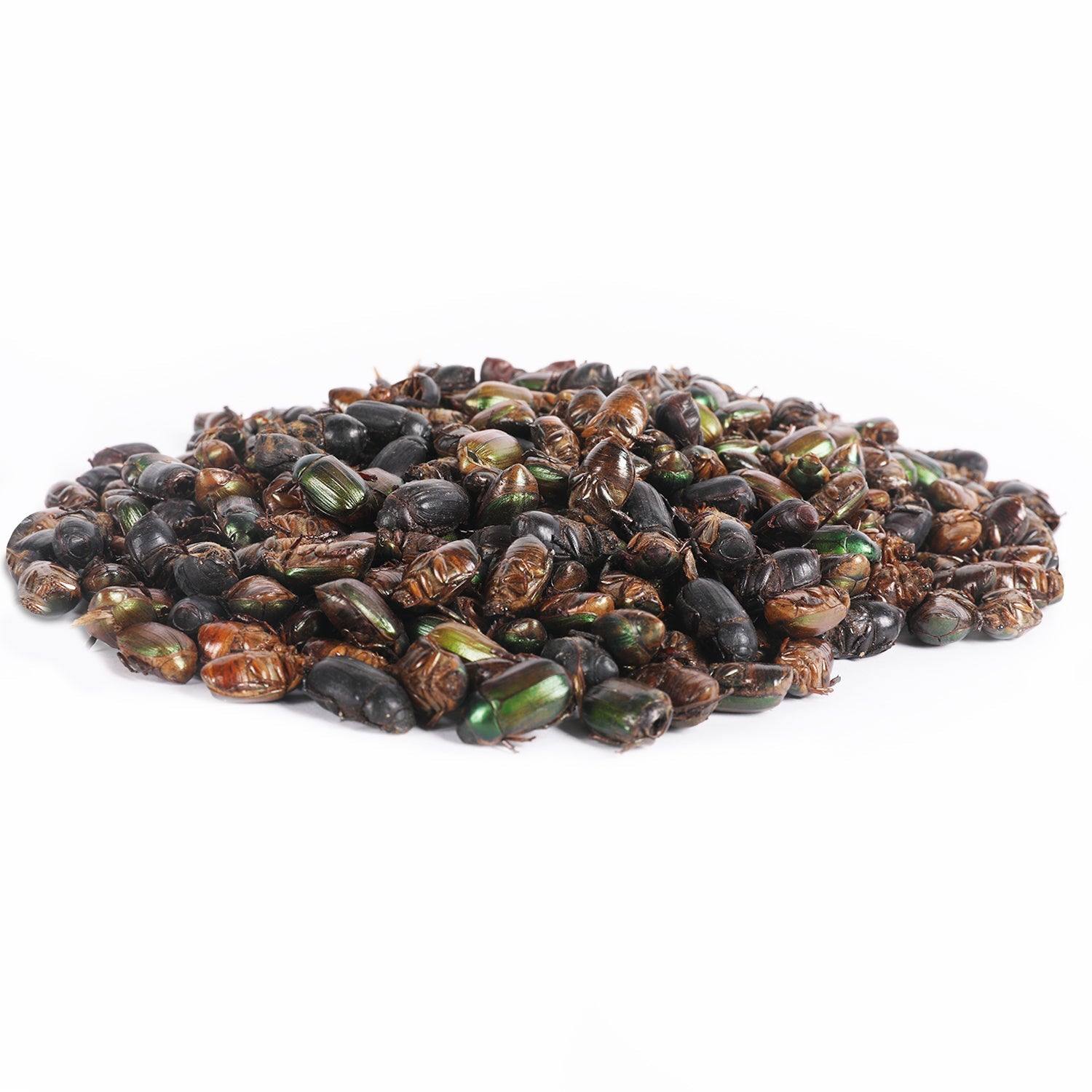 Beetle Craze 2 lb Natural Dried Mealworms - High Protein Reptile & Bird Food for Bearded Dragons, Chickens, Wild Birds - Perfect for Feeding Pets & Wildlife