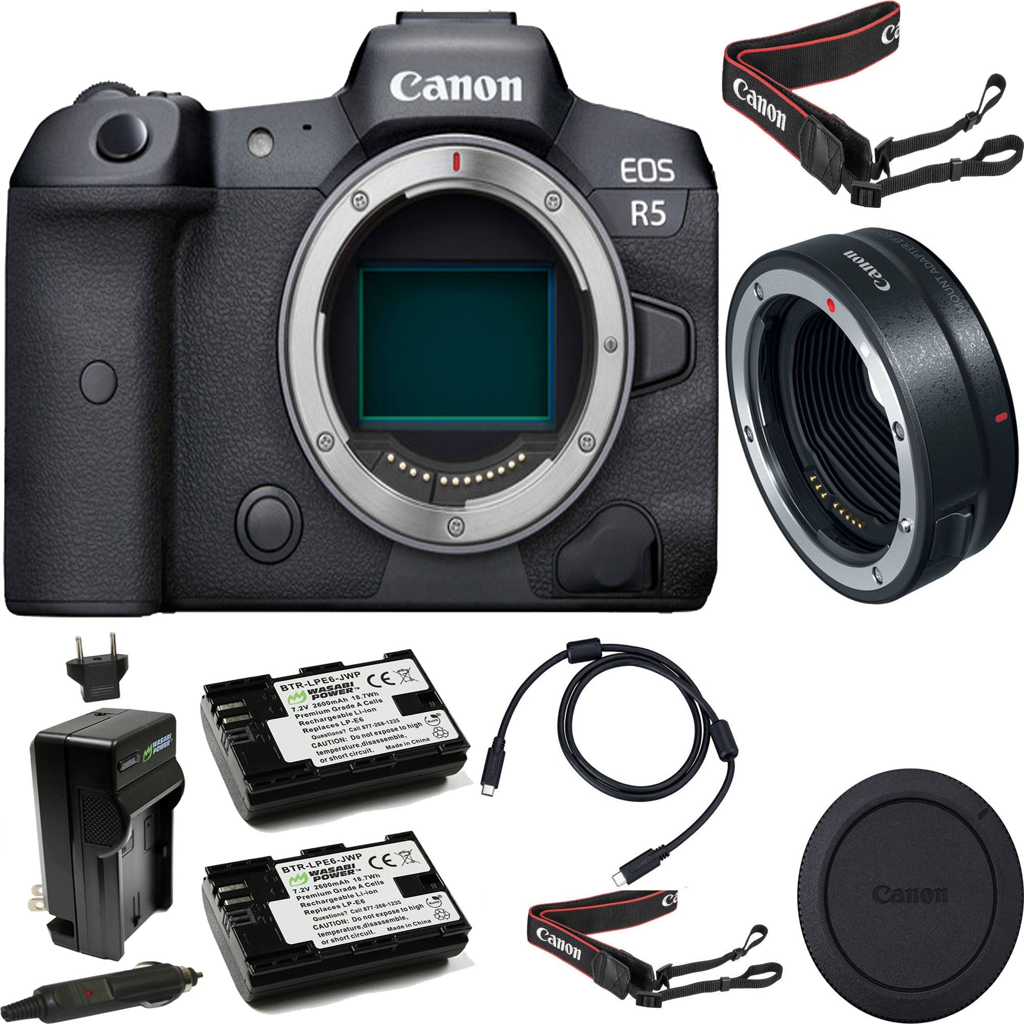 Canon EOS R6 Mirrorless Digital Camera Body with EF-EOS R Mount Adapter | 2 Extra Batteries & Fast Charger Kit | Professional Photography, Vlogging & Travel Videography