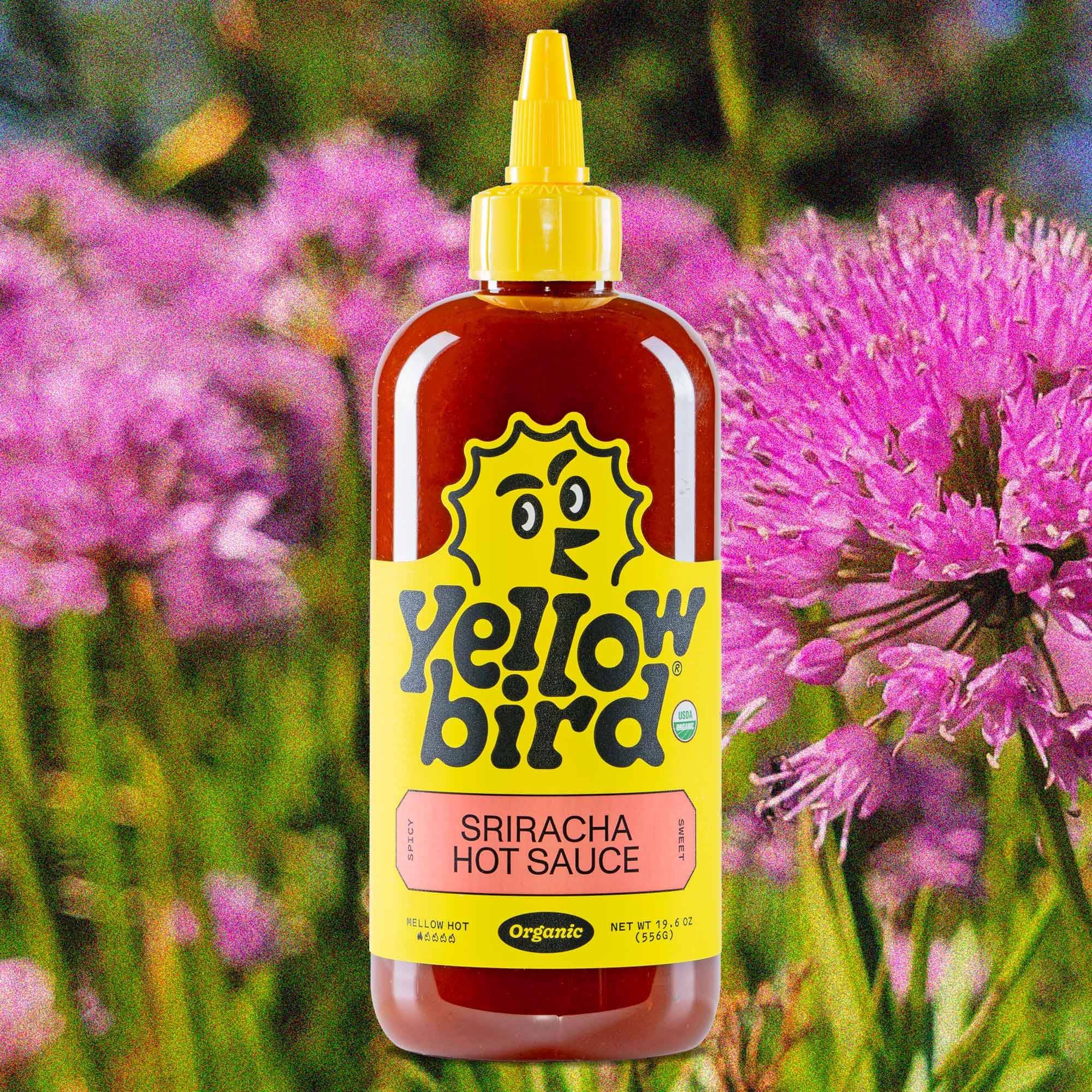 Yellowbird Organic Sriracha Hot Sauce 19.6 oz - Garlic, Date & Lime Blend | Mellow Heat | Tabletop Size | Vegan & Gluten-Free | Perfect for Tacos, Burgers & Wings | Made in Texas USA