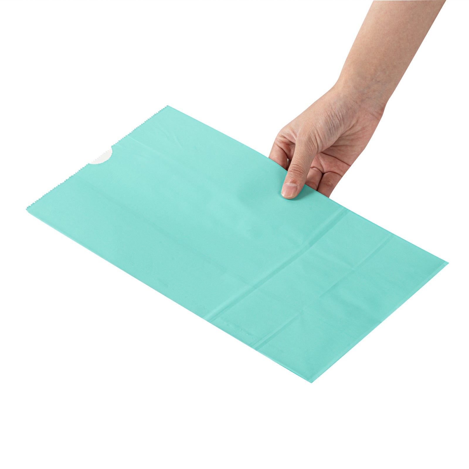 Premium Turquoise Paper Bags - 12 lb Weight Capacity, 7 x 4.25 x 12.5 Inches, 100 Count Box - Perfect for Gift Wrapping, Party Favors & Retail Packaging