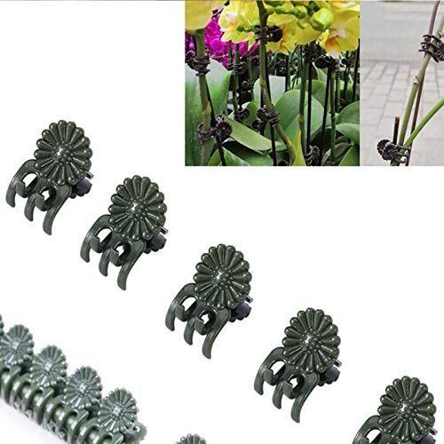 100Pcs Dark Green Orchid Clips - Mini Plastic Plant Support Clips for Stems, Vines & Stalks - Garden Flower Plant Clips to Help Plants Grow Upright - Perfect for Orchids, Tomatoes, and Climbing Plants in Home Gardens & Greenhouses