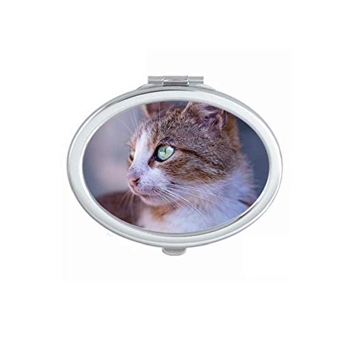 DIYthinker Brown Cat Animal Profile Wild Stare Mirror - Portable Foldable Double-Sided Makeup & Glasses Mirror for Travel, Home Vanity & Handbag