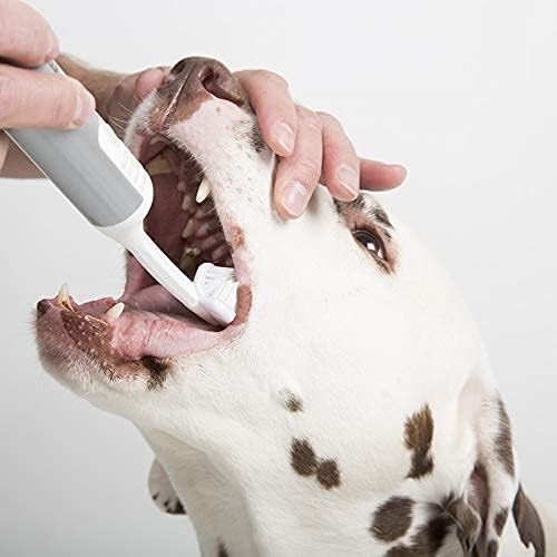 Cleany Teeth Toothbrush for Dogs Starter Kit - Gentle Dental Care for Small & Large Breeds - Perfect for Daily Oral Hygiene & Fresh Breath at Home